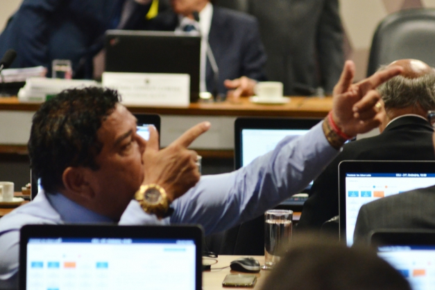 Macaque in the trees