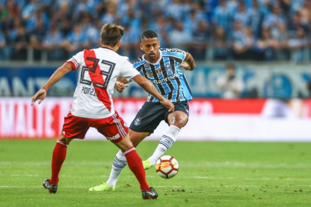 Macaque in the trees