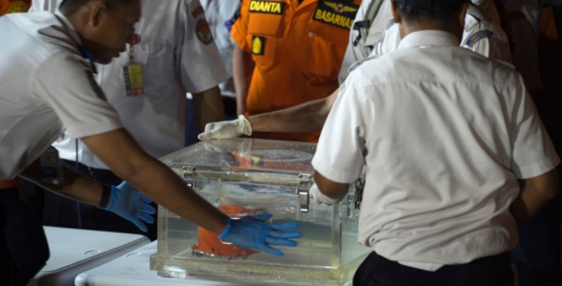 Macaque in the trees