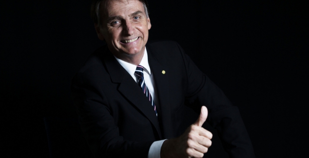 Macaque in the trees