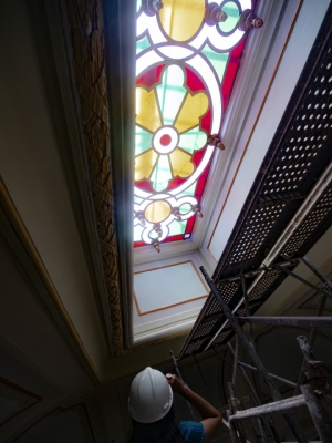 Macaque in the trees