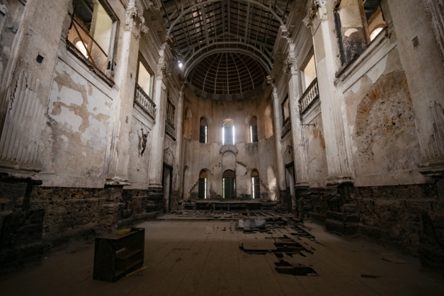Macaque in the trees