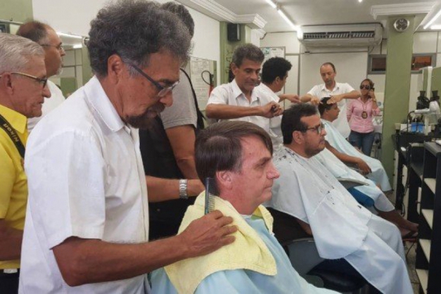 Macaque in the trees