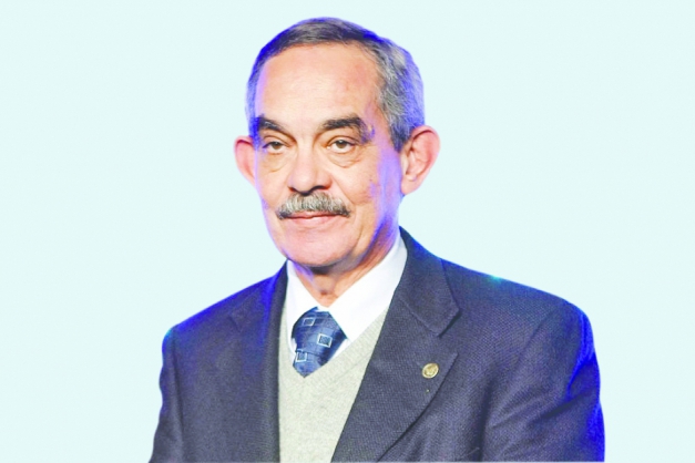 Macaque in the trees