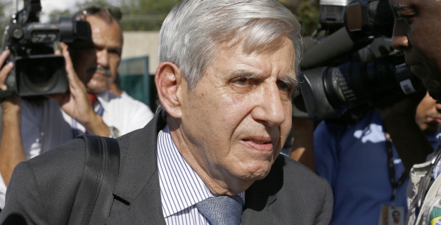 Macaque in the trees