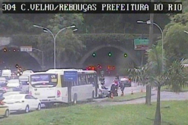 Macaque in the trees