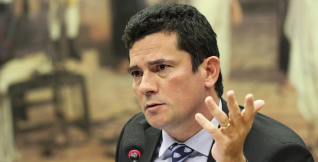 Macaque in the trees