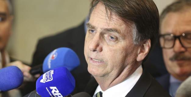 Macaque in the trees