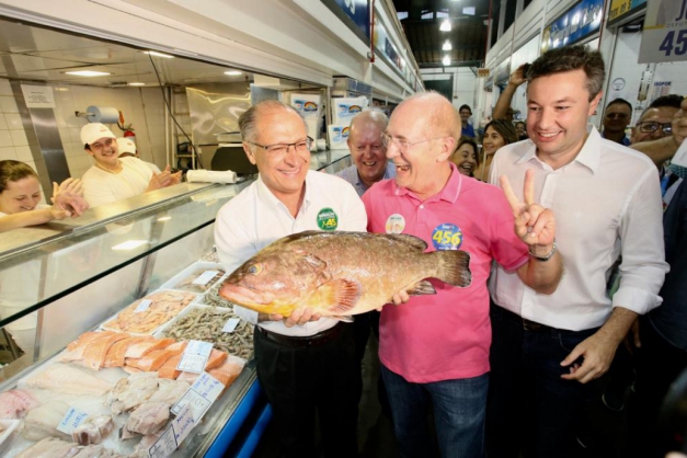 Macaque in the trees