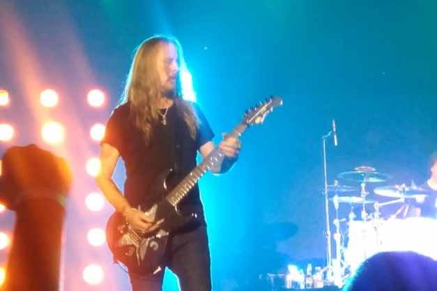 Macaque in the trees