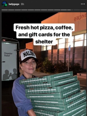 Lady Gaga entrega pizza para desabrigados de incêndio Macaque in the trees