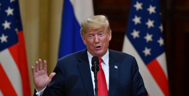 Macaque in the trees