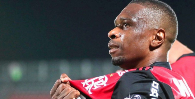 Macaque in the trees