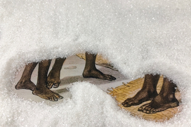 Macaque in the trees