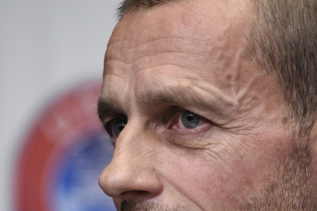 Macaque in the trees