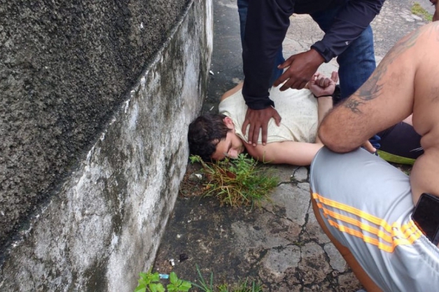 Macaque in the trees