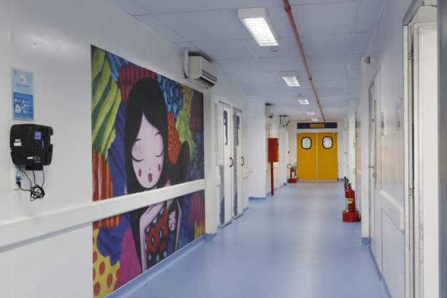 O grafite de um corredor da Coordenação de Emergência Regional do Hospital Lourenço Jorge já totalmente restaurado Macaque in the trees