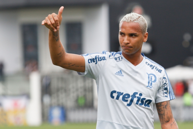 Macaque in the trees