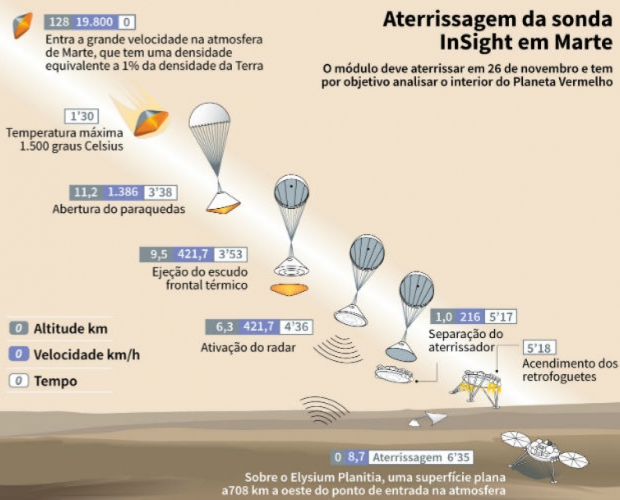 Macaque in the trees