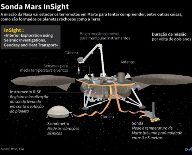 Macaque in the trees