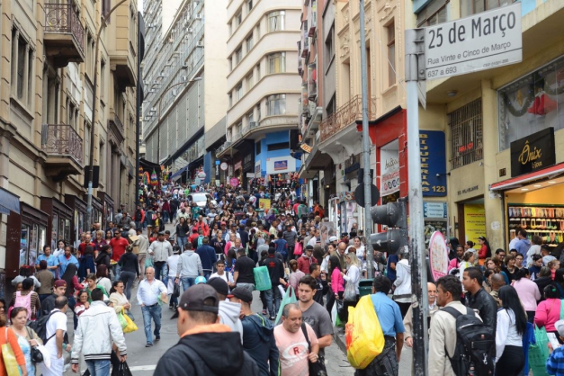 Macaque in the trees