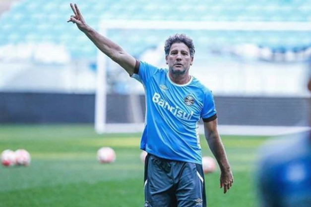 Macaque in the trees