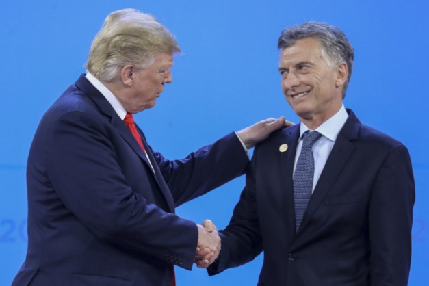 Macaque in the trees