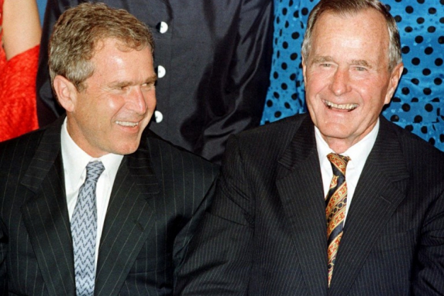 Macaque in the trees