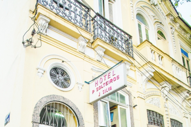Macaque in the trees