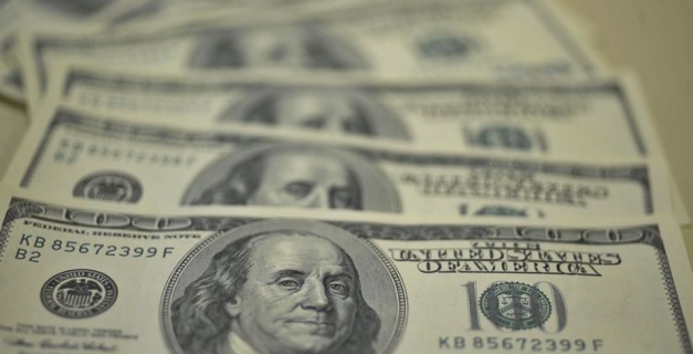 Macaque in the trees