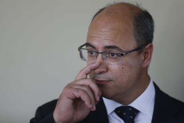 Macaque in the trees