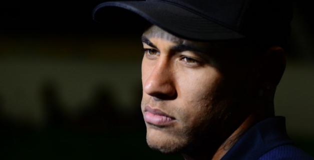 Macaque in the trees