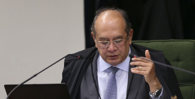 Macaque in the trees