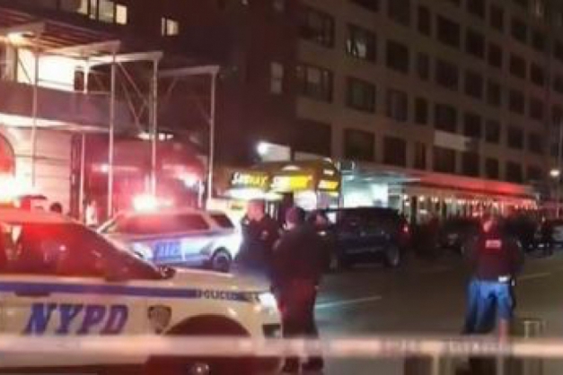 Macaque in the trees