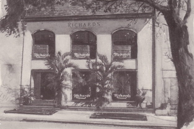 Macaque in the trees
