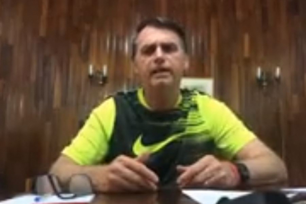 Macaque in the trees