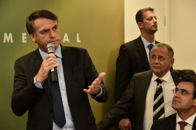 Macaque in the trees