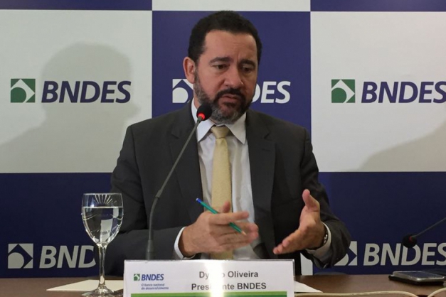 Macaque in the trees