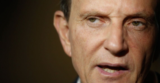 Macaque in the trees