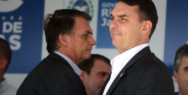 Macaque in the trees