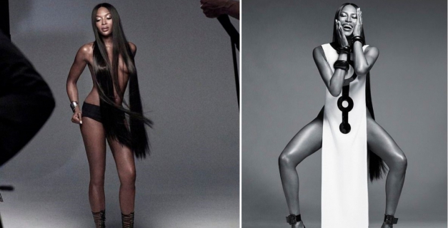 Macaque in the trees