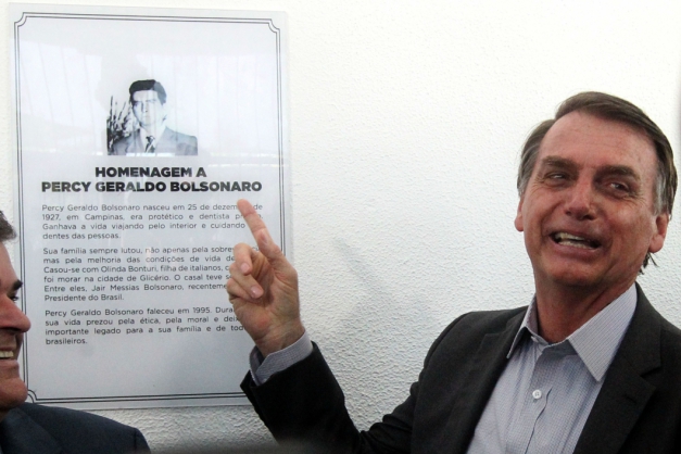 Macaque in the trees