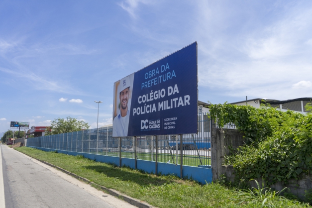 Macaque in the trees