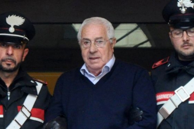 Macaque in the trees