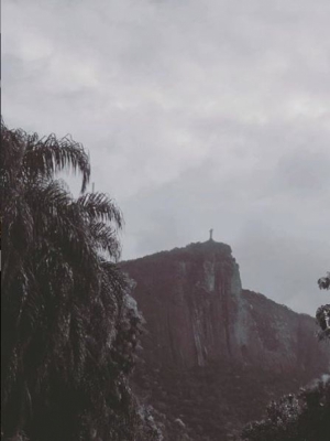 Macaque in the trees