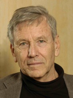 Macaque in the trees