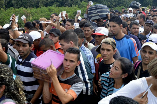 Macaque in the trees