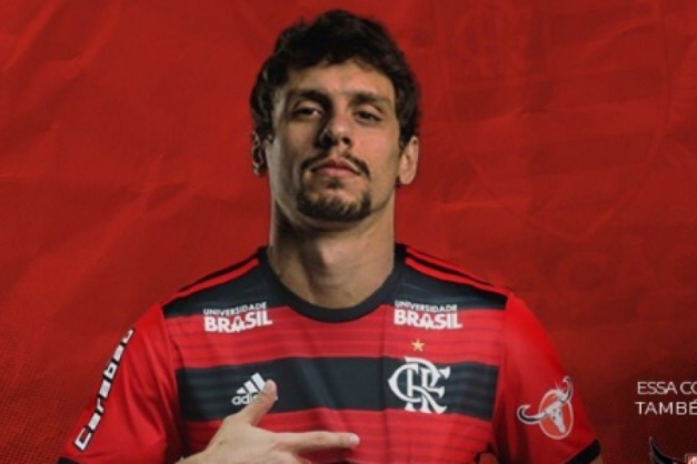 Macaque in the trees