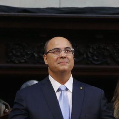 Macaque in the trees