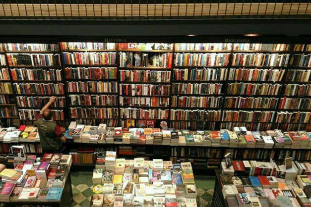 Macaque in the trees